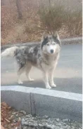 �����. ����