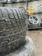 Nordman +. ������, ����������, 2008 ���, �/�, ����� 70 % ����