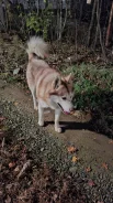 �����. ����