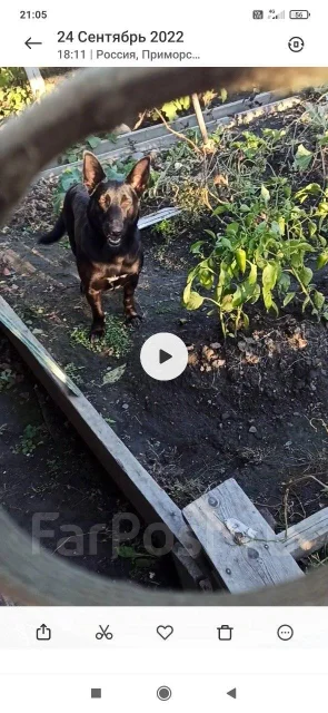 ������. ����