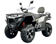 Bashan Explorer 300