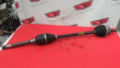 ������ �������� ������ �������� W164 ML A1643301901 ����