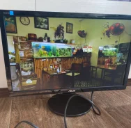 Asus. 21.5", ���������� �� (LCD, LED, QLED) ����