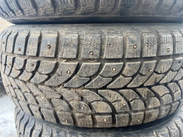 Bridgestone Winter Radial WT-17. ������, ����������, 2005 ���, �/�, ����� 25 % ����