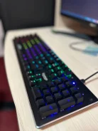 ����������. ����