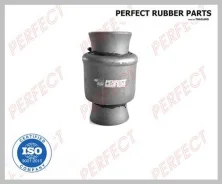 ����������� �������� ���� Perfect (��������� 1 ��) (Perfect) |3| NS65C11B NS65C11B ����