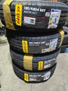 Hilo XS1. ������, ��� �����, 2024 ���, ����� ����