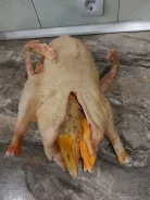 ����. ����