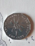 ������ 1 ���� 1991 ��� FAO ����