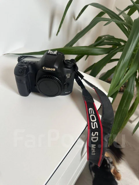 Canon EOS 5D Mark III ����