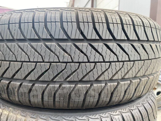 Neolin. �����������, 2020 ���, �/�, ����� 10 % ����