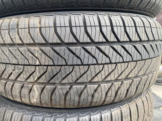 Neolin. �����������, 2020 ���, �/�, ����� 10 % ����