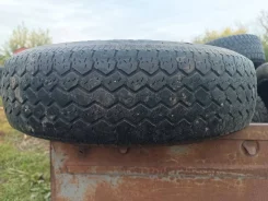 Eldorado. ������, �/�, ����� 50 % ����