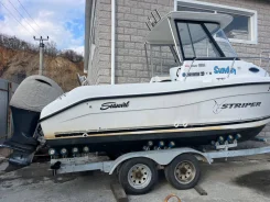 Striper. 2006 ���, ����� 7��., ��������� ���������, 200��.�., ������ ����