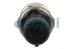 ������ �������� �����! RVI Premium/Magnum/Midlum/Kerax Cojali 2260261 2260261 ����