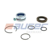 �������� ������� ������ ! Scania 124 �/� Auger 55501 55501 ����