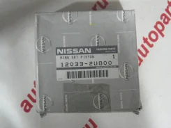 ������ ��������� Nissan 12033-2U800 120332U800 ����