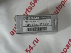 ������ ��������� Nissan 12033-1C300 120331C300 ����
