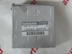 ������ ��������� Nissan 12033-AN202 12033AN202 ����