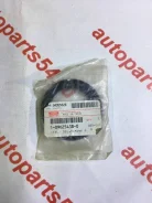 ������� Isuzu 1096254380 1096254380 ����