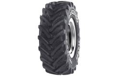Ascenso XLR 880