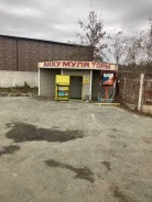 ������ ������� ������ ������� ����