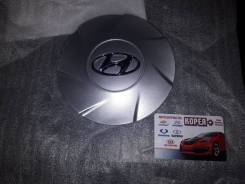   Hyundai / KIA 529603X300 