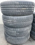 Dynamo Street-H. ������, 2024 ���, ����� ����