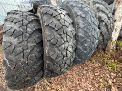 TyRex CRG O-184. �����������, �/�, ����� 40 % ����