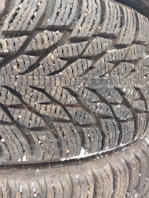 Nokian Hakkapeliitta R3. ������, ��� �����, �/�, ����� 5 % ����