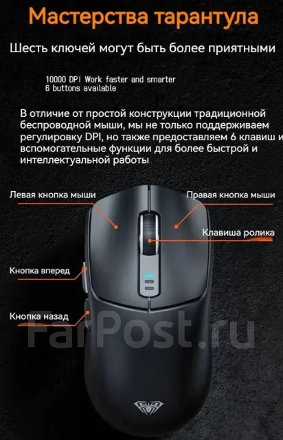 ���� ������������. ��� ����� �� ������������ ����