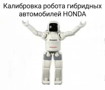 ����������� ����������. ����