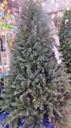 ���� �������������. ����