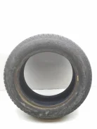 Toyo Tranpath A19