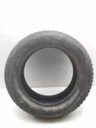 Toyo Tranpath A19