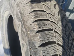 Bridgestone Blizzak Spike-01. ������, ����������, 2014 ���, �/�, ����� 10 % ����
