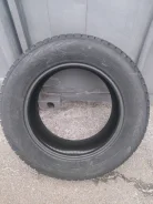 Nordman 7. ������, ����������, 2021 ���, ����� ����