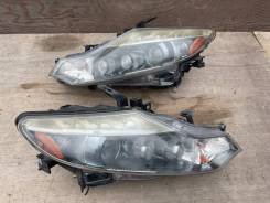  Xenon  Nissan Murano, Z51,2010 