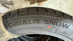 Prinx. ������, ��� �����, 2024 ���, ����� ����