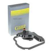 ������ ���� � ���������� ������� Citroen/Peugeot/Renault Clio III GANZ GIH02100 GIH02100 ����