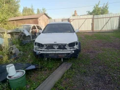 Nissan Bluebird Sylphy ����