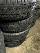 Viking WinTech. ������, ��� �����, 2020 ���, �/�, ����� 5 % ����