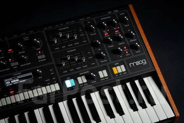 ���������� ���������� Moog Muse ����