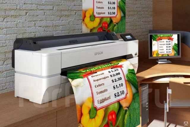 ��������������� ������� Epson SureColor SC-T5405 ����