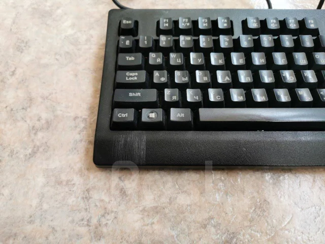 ����������. ����