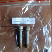 ���� ��������� �������� VAG Volkswagen Passat N01024124 ����