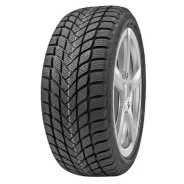 Delinte Winter WD6