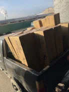 �����. ����