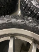 Presa PI02. ������, ����������, 2021 ���, �/�, ����� 10 %. ��� ����� �� �������� ����