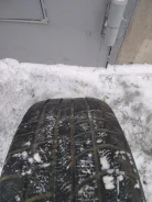Toyo Winter Tranpath MK3. ������, ��� �����, �/�, ����� 40 % ����